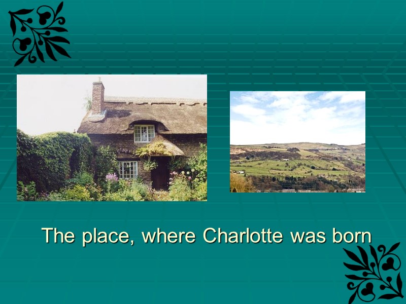 The place, where Charlotte was born